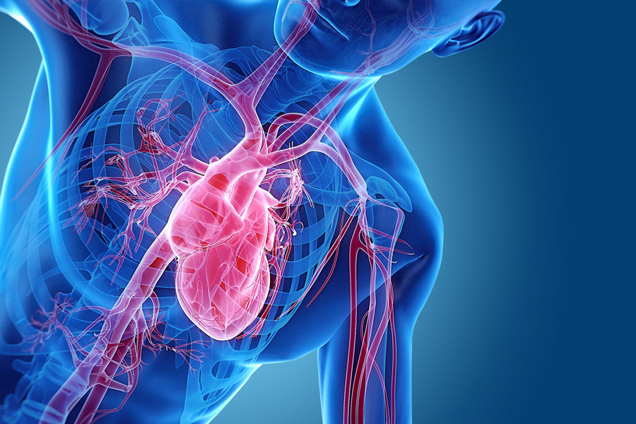 Эпидемиология систолической дисфункции левого желудочка и сердечной недостаточности за 30 летний период наблюдения