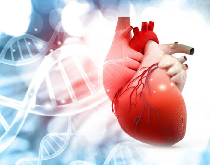 Прогнозирование исходов пациентов с острой декомпенсацией хронической сердечной недостаточности на основании анализа помощью фракции выброса