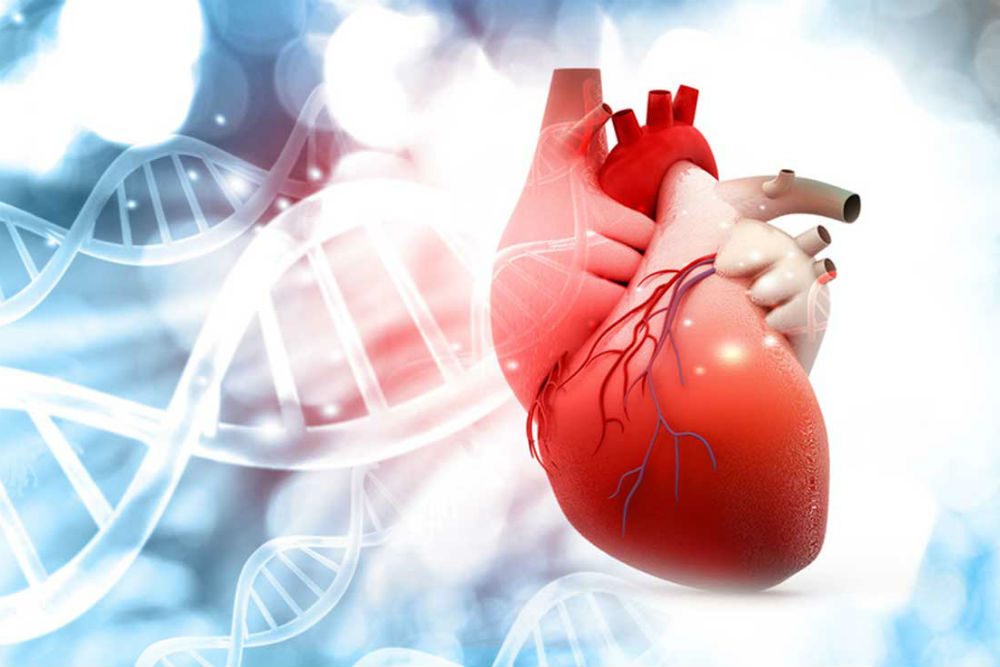 Прогнозирование исходов пациентов с острой декомпенсацией хронической сердечной недостаточности на основании анализа помощью фракции выброса
